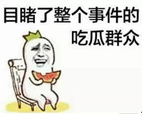 搞笑沙雕吃瓜娱乐圈小说,沙雕吃瓜,笑料横生