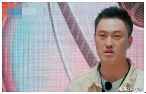 娱乐圈小说吃瓜爆料完结,吃瓜爆料终章揭晓